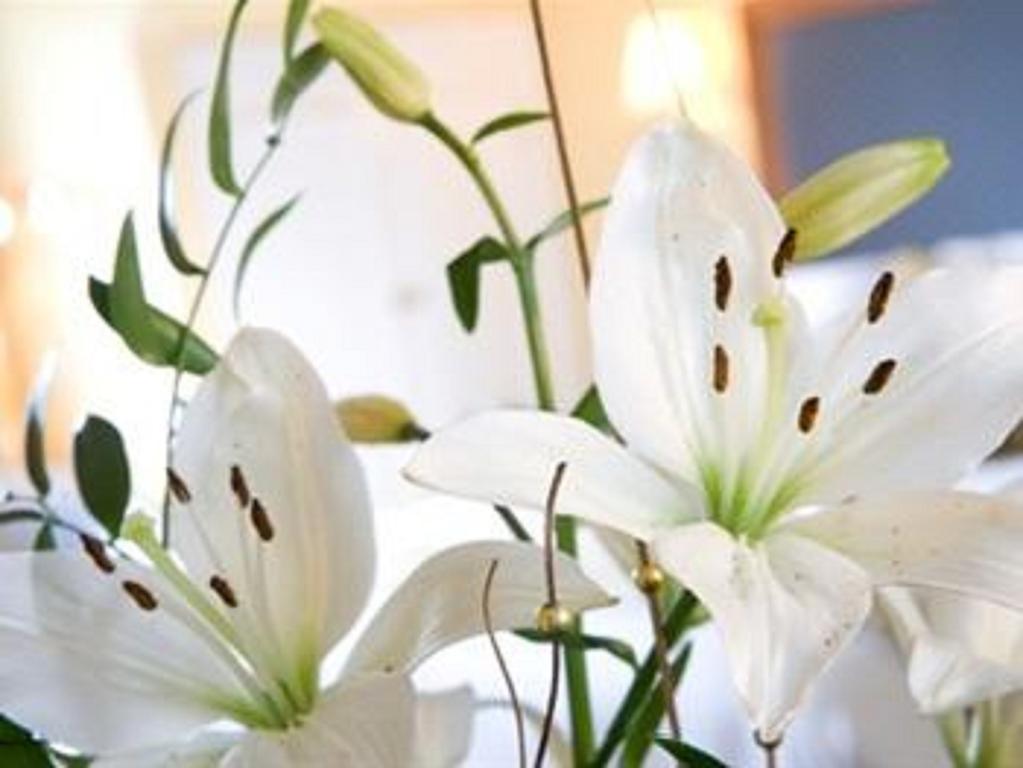 Malin Court Hotel And Restaurant آير الغرفة الصورة